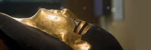 Mummified remains at Swansea Museum