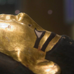 Mummified remains at Swansea Museum