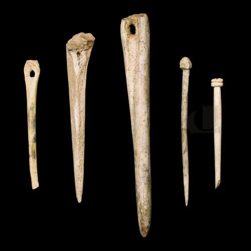 Five Roman bone awls excavated from Minchin Hole in Pennard, Gower.