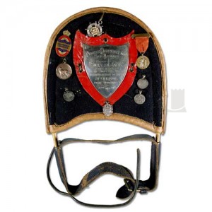 Swansea Jack - Harness and Badges